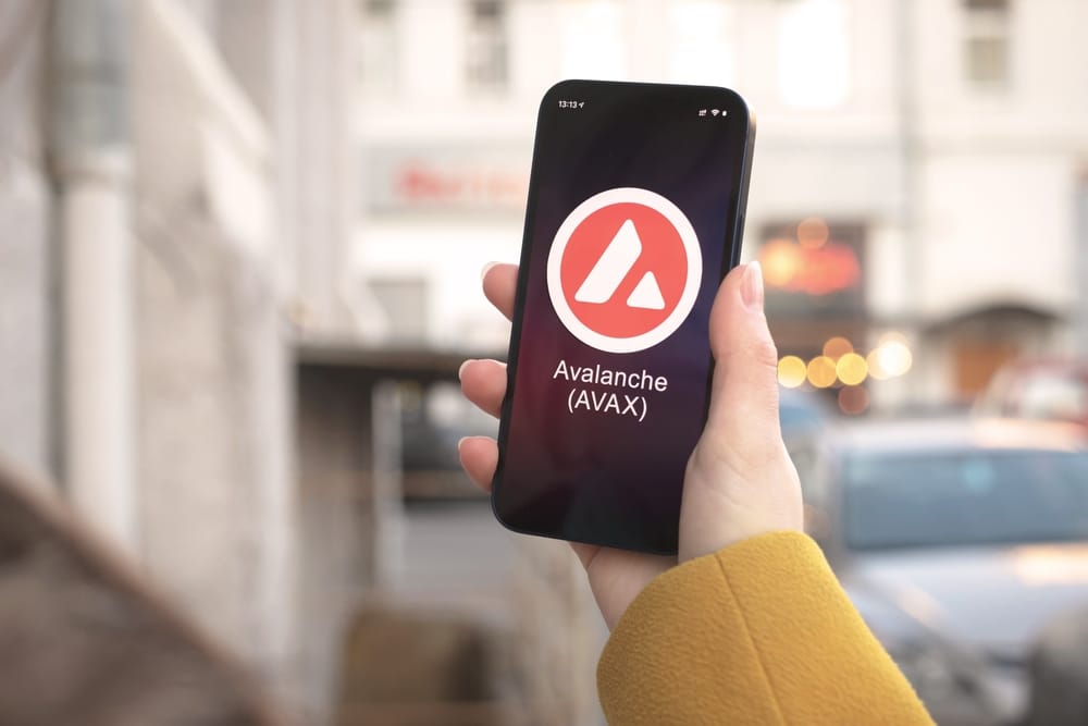 Meme Scheme: How Avalanche is Choosing Meme Coins to Purchase